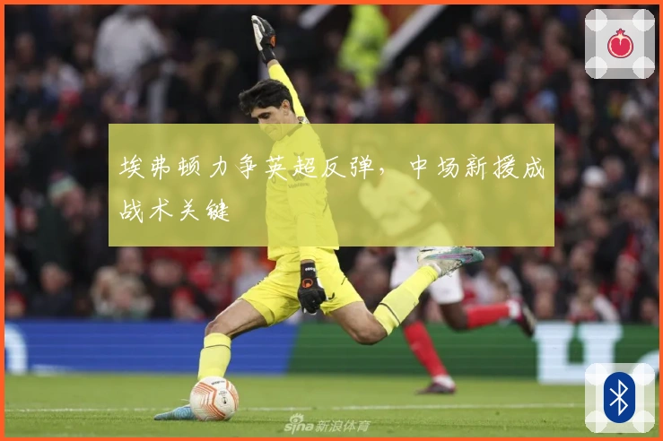 埃弗顿力争英超反弹，中场新援成战术关键