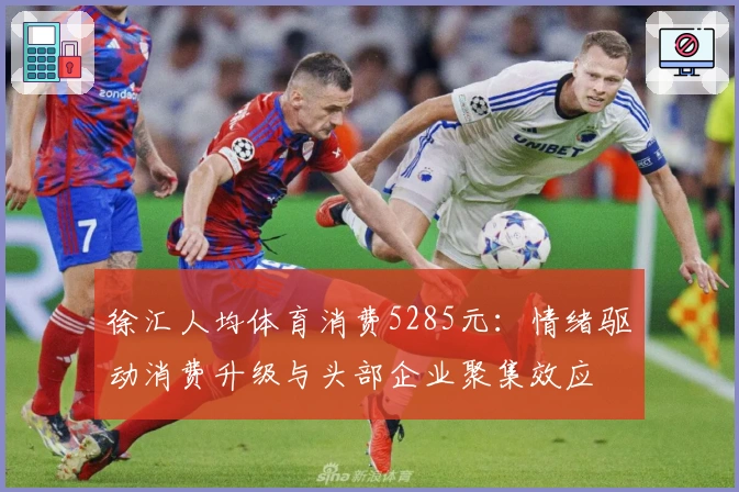 徐汇人均体育消费5285元：情绪驱动消费升级与头部企业聚集效应