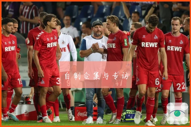 自制合集与专访