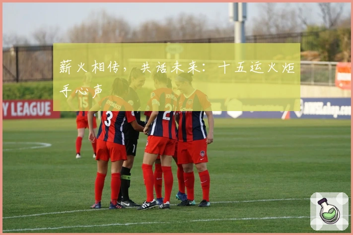 薪火相传，共话未来：十五运火炬手心声