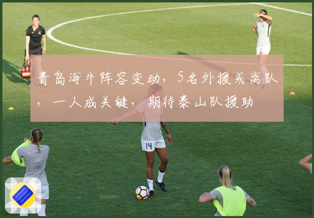 青岛海牛阵容变动，5名外援或离队，一人成关键，期待泰山队援助
