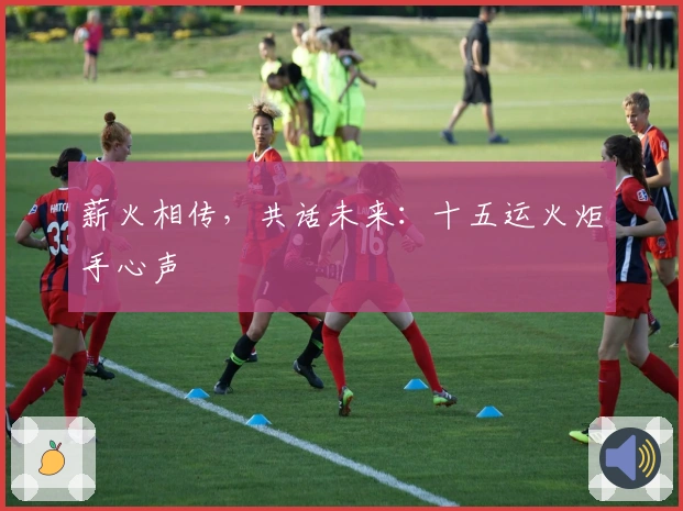 薪火相传，共话未来：十五运火炬手心声